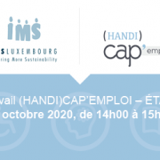 (Handi)Cap'Emploi Working Group - State of play