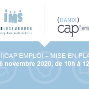 Groupe de travail (Handi)Cap'Emploi - Validation et mise en place des passerelles