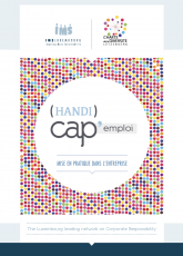 E-book (Handi)Cap' Emploi : mise en pratique dans l'entreprise