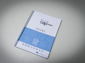 (Handi)Cap' Emploi