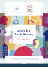 La Charte de la Diversité Lëtzebuerg : en pratique