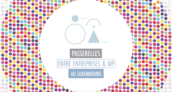 Passerelles entre entreprises et Ateliers d'Insertion Professionnelle : nouvelle publication