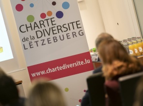 « Rally Diversité » (Celebration of Diversity)